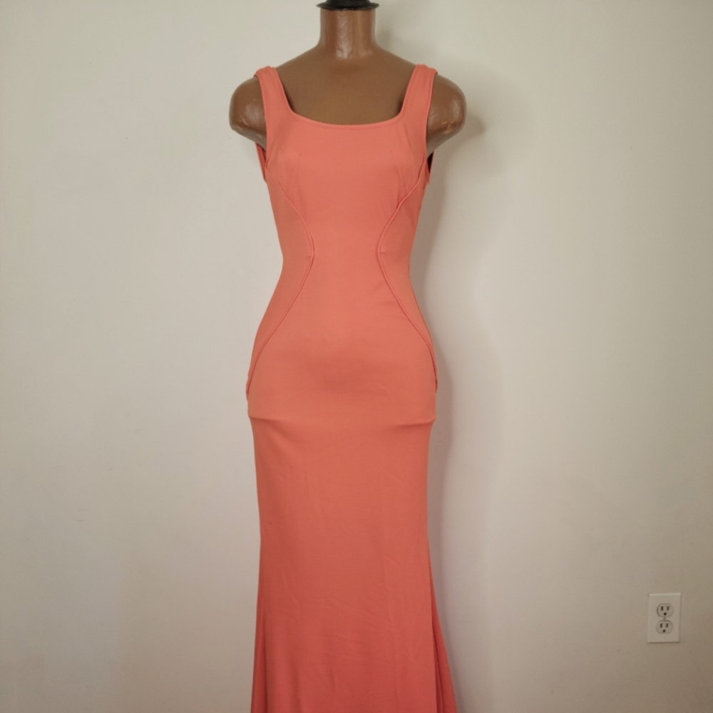 Zac by Zac Posen dress